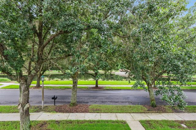 1017 OLD BLUSH ROAD, Kissimmee, FL 34747