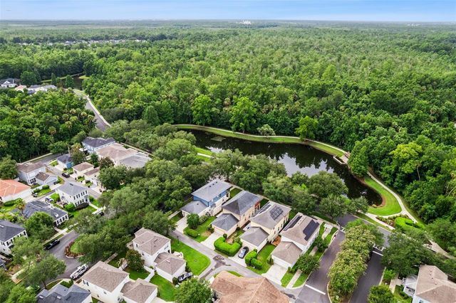 1017 OLD BLUSH ROAD, Kissimmee, FL 34747