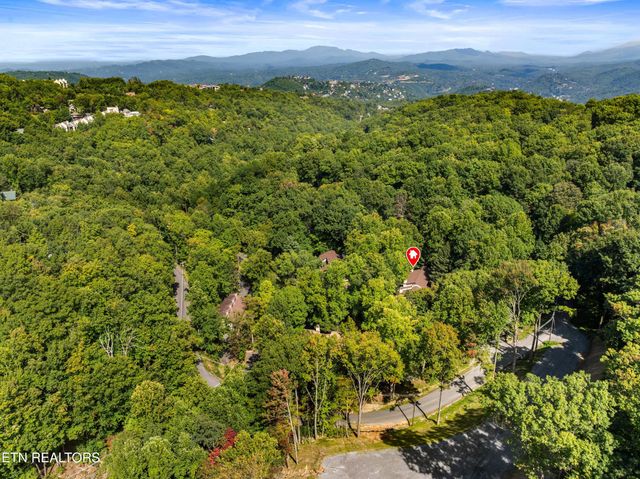 1235 Ski Mountain Rd 602, Gatlinburg, TN 37738
