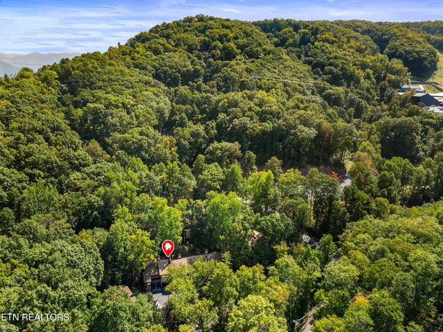 1235 Ski Mountain Rd 602, Gatlinburg, TN 37738