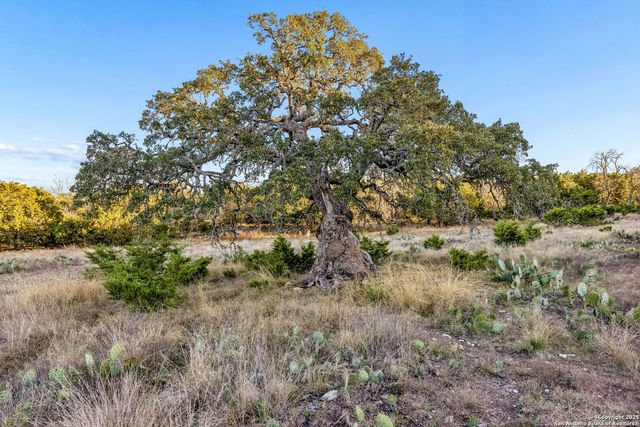 1106 Perry Ranch, Fredericksburg, TX 78624
