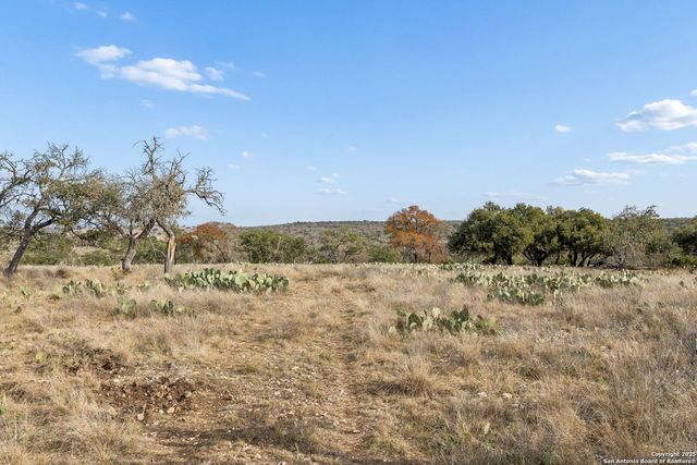 1106 Perry Ranch, Fredericksburg, TX 78624