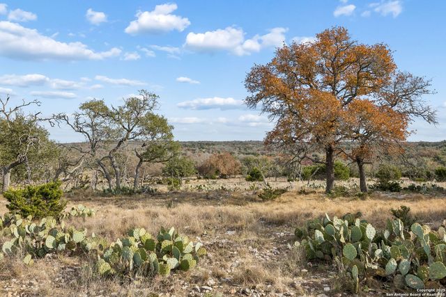 1106 Perry Ranch, Fredericksburg, TX 78624