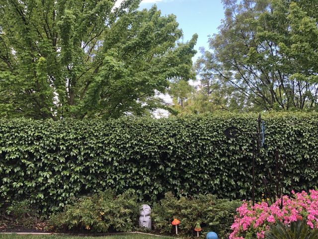 10240 Jenny Lynn Way, Elk Grove, CA 95757