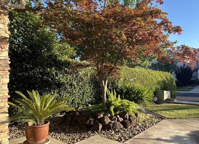 10240 Jenny Lynn Way, Elk Grove, CA 95757