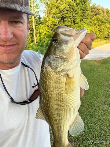 493 Lake Ridge Road, Hope Hull, AL 36043