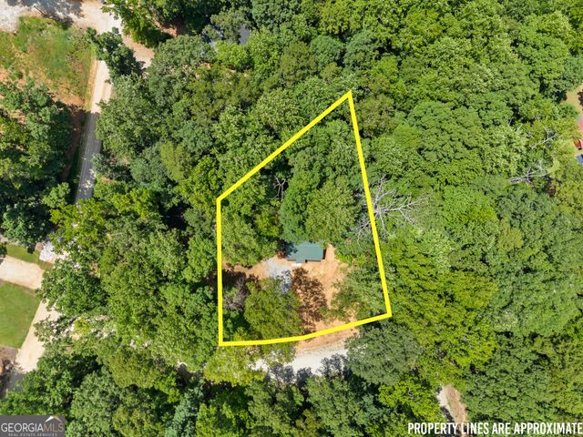 45 Lakeview Court, Lavonia, GA 30553