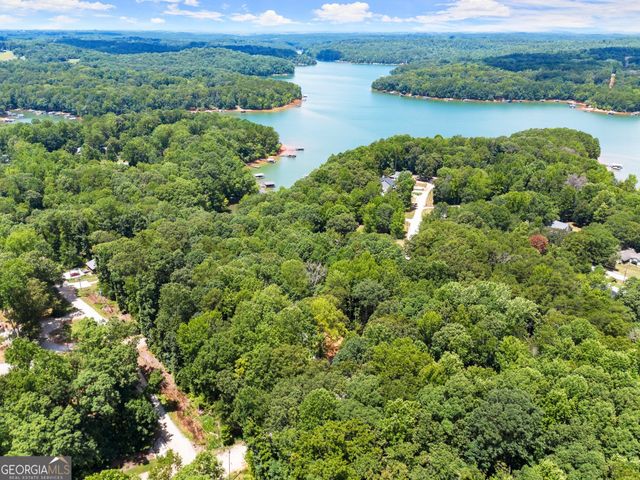 45 Lakeview Court, Lavonia, GA 30553