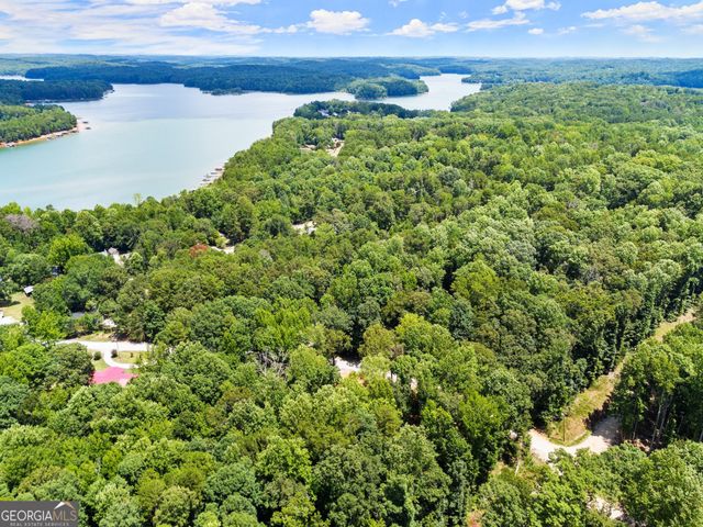 45 Lakeview Court, Lavonia, GA 30553
