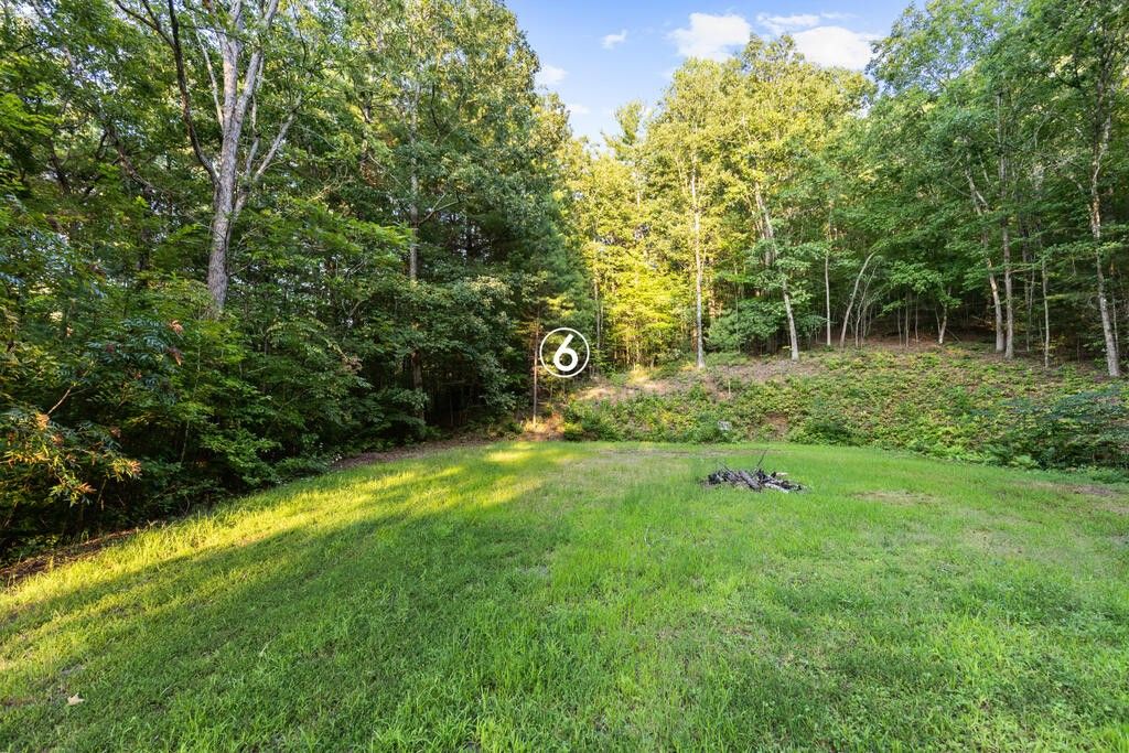 6 Timber Lane Court, Turtletown, TN 37391