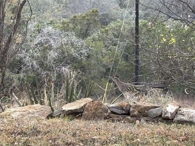 309 S Oak LN, Burnet, TX 78611