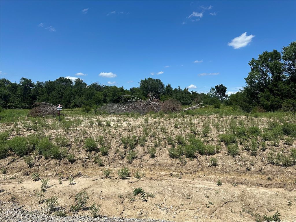 Lot 14 County Road 1110, Farmersville, TX 75442