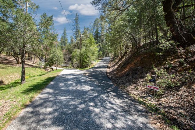 717 Swanson Ln, Colfax, CA 95713