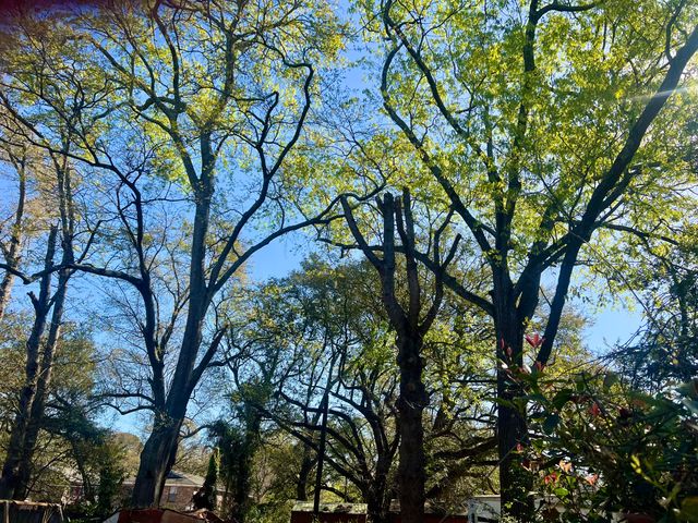 5516 Rio Street, North Charleston, SC 29406