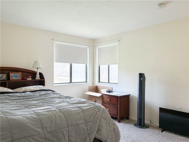 228 Watertree Drive, Dewitt, NY 13057