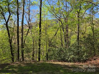 Lot 64 & 65 Walnut Lane, Lake Lure, NC 28746