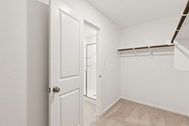 825 High Mesa Lane, Montgomery, TX 77356