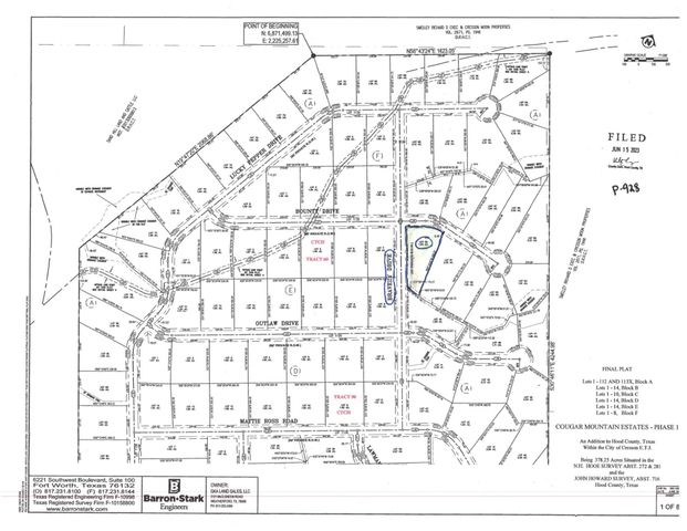 3517 Bravery Road, Granbury, TX 76049
