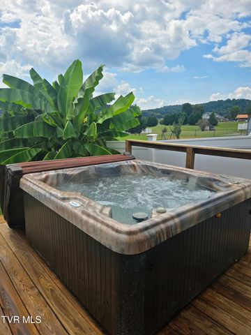 253 Ramblin Road, Newport, TN 37821