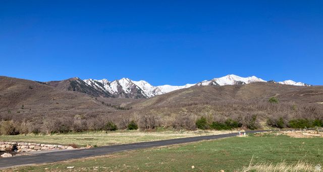 259 S MEADOW DR, Springville, UT 84663