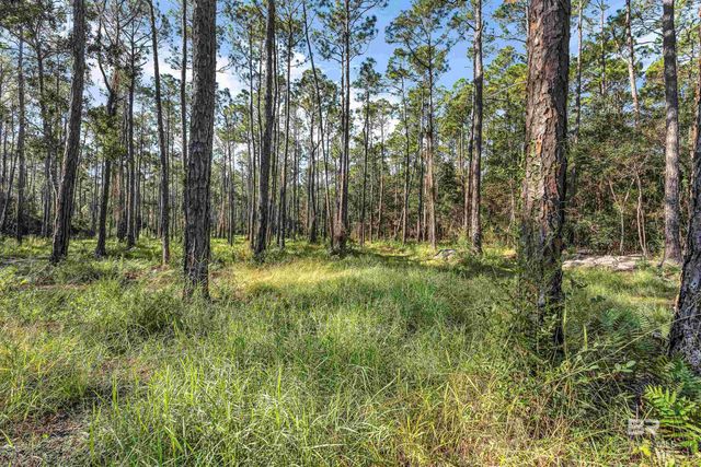 0 Bay Road, Foley, AL 36535
