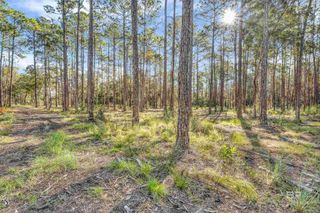 0 Bay Road, Foley, AL 36535