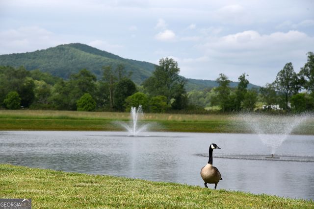 122 Mtn Creek Road, Blairsville, GA 30512