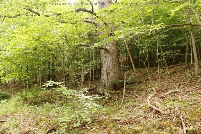 1849 Three Mile Road, Elkview, WV 25071