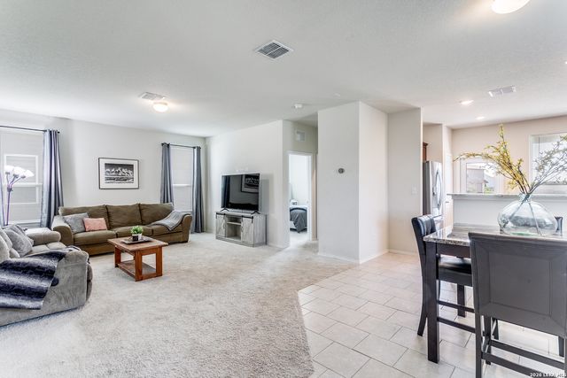 10628 RAYBURN LNDG, San Antonio, TX 78252