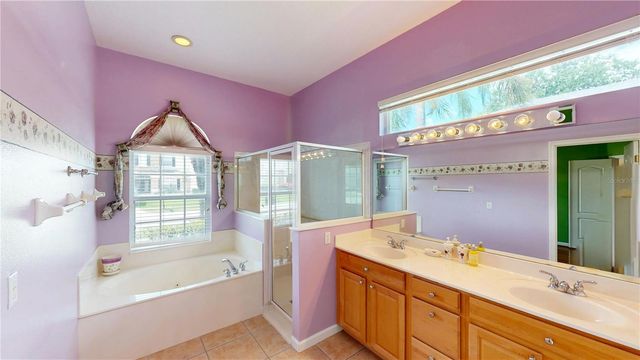 529 BELHAVEN FALLS DRIVE, Ocoee, FL 34761