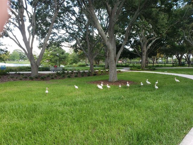 1489 DE LEON STREET, Clearwater, FL 33755