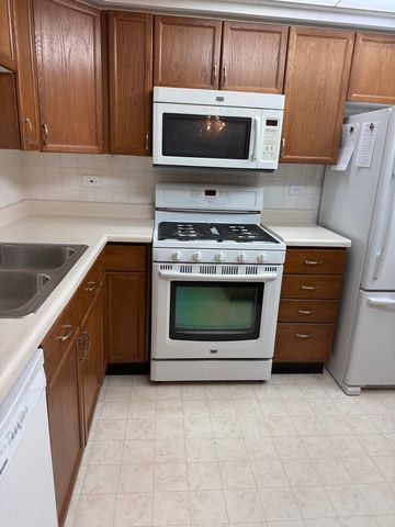 1480 Jefferson Street 203, Des Plaines, IL 60016