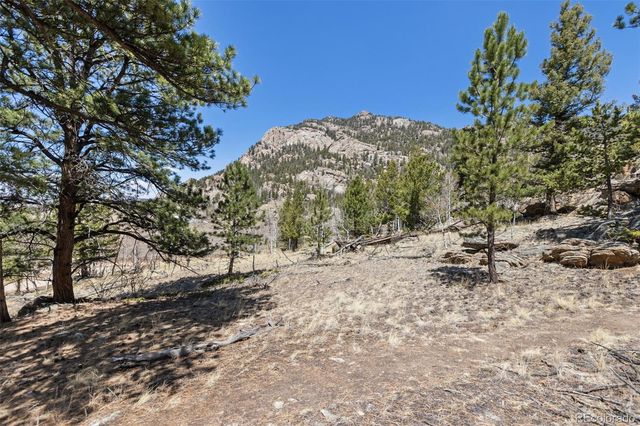 61 Garnet Lane, Lake George, CO 80827