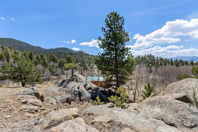 61 Garnet Lane, Lake George, CO 80827