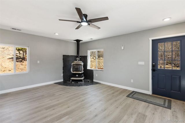 61 Garnet Lane, Lake George, CO 80827