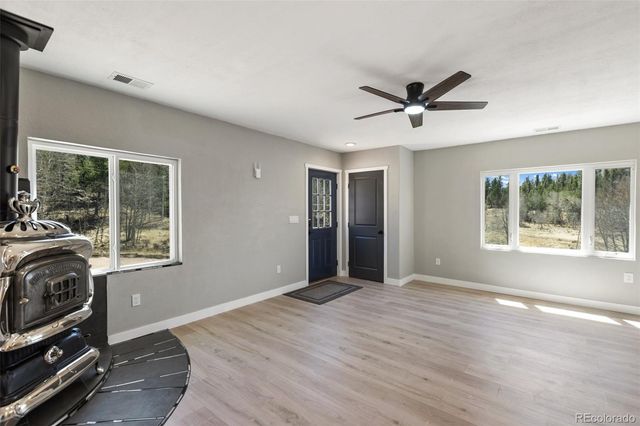61 Garnet Lane, Lake George, CO 80827