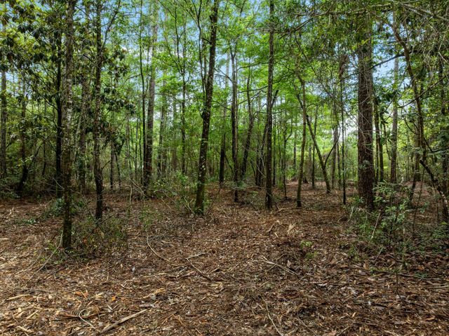 68 Acres Blue Wood Dr., Vancleave, MS 39565