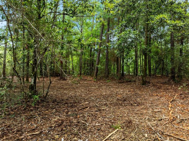 68 Acres Blue Wood Dr., Vancleave, MS 39565