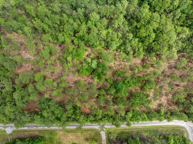68 Acres Blue Wood Dr., Vancleave, MS 39565