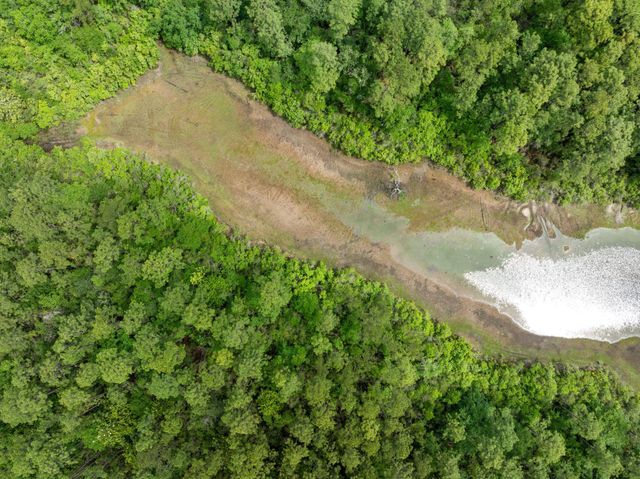 68 Acres Blue Wood Dr., Vancleave, MS 39565