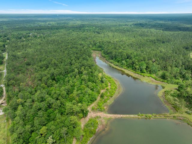 68 Acres Blue Wood Dr., Vancleave, MS 39565