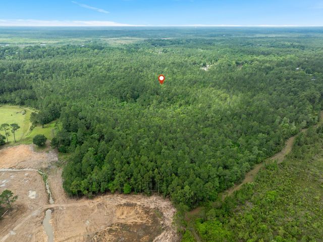 68 Acres Blue Wood Dr., Vancleave, MS 39565