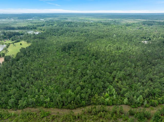 68 Acres Blue Wood Dr., Vancleave, MS 39565