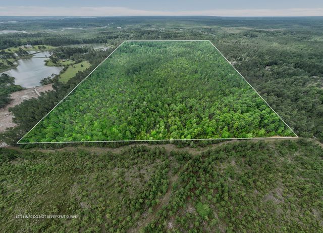 68 Acres Blue Wood Dr., Vancleave, MS 39565