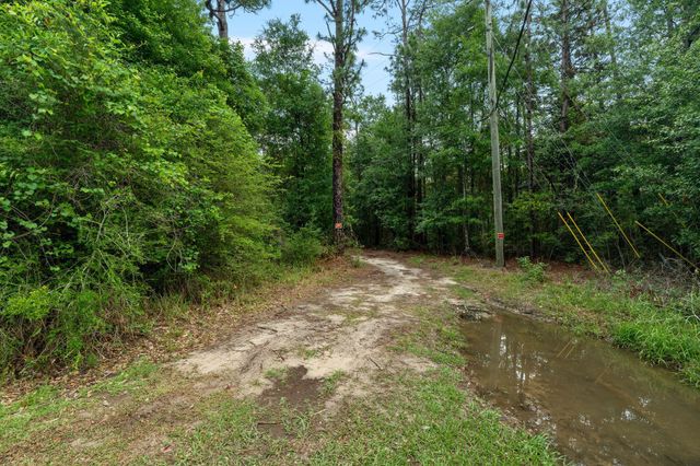 68 Acres Blue Wood Dr., Vancleave, MS 39565