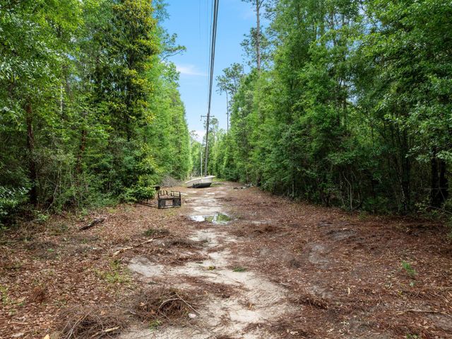68 Acres Blue Wood Dr., Vancleave, MS 39565