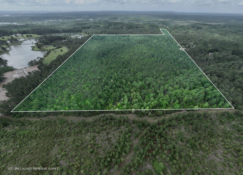 68 Acres Blue Wood Dr., Vancleave, MS 39565