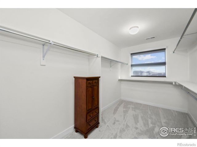 2883 Storm View Court, Timnath, CO 80547