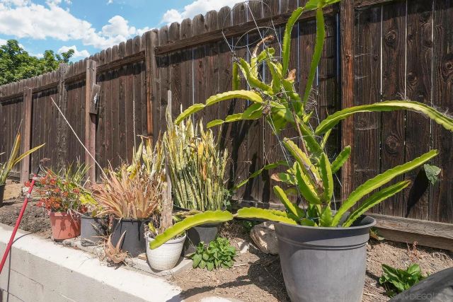 1138 Purdy Street, Spring Valley, CA 91977