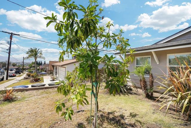 1138 Purdy Street, Spring Valley, CA 91977
